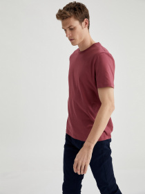 Футболки и поло DeFacto модель M7666AZ-BR444 Фото