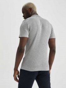 Поло DeFacto модель N6710AZ-GR158 Фото