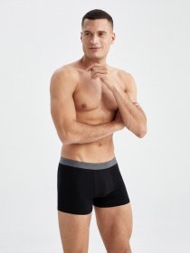 Набір трусів DeFacto модель K7635AZ-BK27 Набір трусів DeFacto модель K7635AZ-BK27 Фото