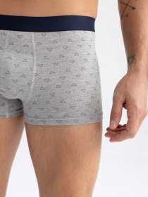 Набор трусов DeFacto модель T4915AZ-GR210 Фото