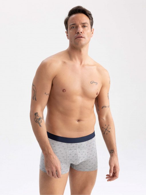 Набор трусов DeFacto модель T4915AZ-GR210 Фото