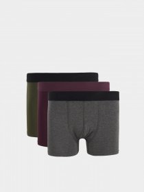 Набор трусов DeFacto модель S1718AZ-GN103 Фото