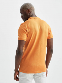 Поло DeFacto модель U5221AZ-OG335 Фото