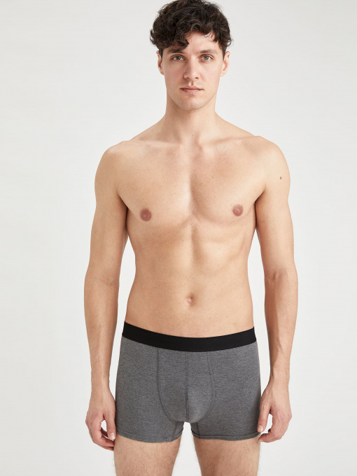 Набор трусов DeFacto модель T4909AZ-AR94 Фото