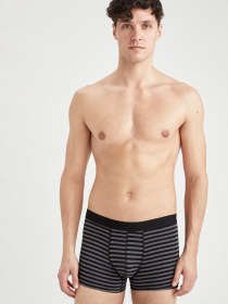 Набір трусів DeFacto модель T4909AZ-AR94 Набір трусів DeFacto модель T4909AZ-AR94 Фото