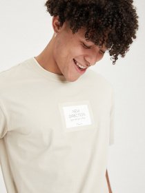 Футболки и поло DeFacto модель T5718AZ-ER30 Фото