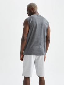 Набор маек для дома DeFacto модель V1875AZ-GR210 Фото