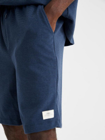 Шорты DeFacto модель U8516AZ-IN225 Фото