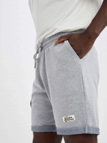 Шорты DeFacto модель N0640AZ-GR210 Фото