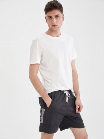 Повсякденні шорти DeFacto модель U6150AZ-GR360 Повсякденні шорти DeFacto модель U6150AZ-GR360 Фото