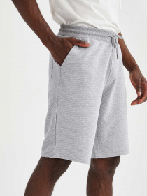 Шорты DeFacto модель N0744AZ-GR210 Фото