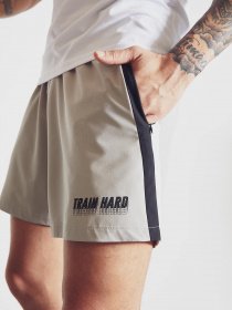 Повсякденні шорти DeFacto модель U2469AZ-GR322 Повсякденні шорти DeFacto модель U2469AZ-GR322 Фото