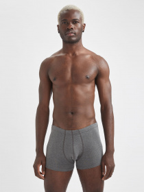 Набор трусов DeFacto модель S9319AZ-AR94 Фото