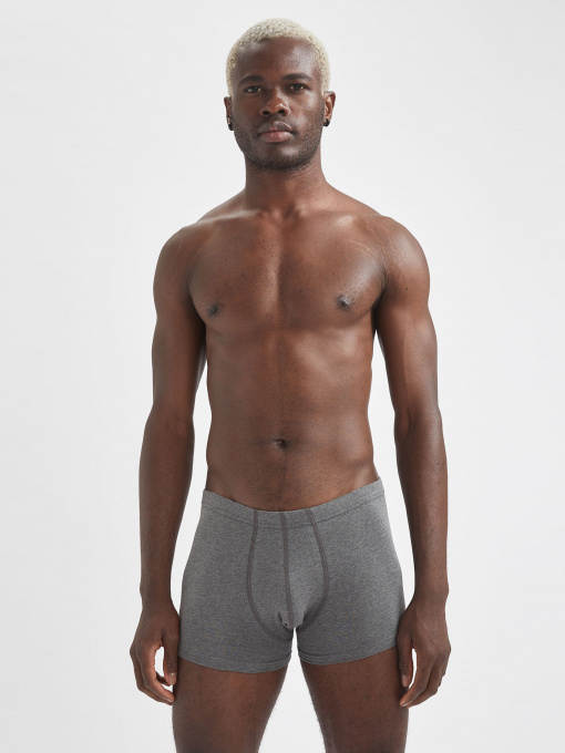 Набір трусів DeFacto модель S9319AZ-AR94 Фото