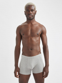 Набір трусів DeFacto модель S9319AZ-AR94 Фото