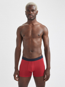 Набір трусів DeFacto модель S9322AZ-RD292 Набір трусів DeFacto модель S9322AZ-RD292 Фото