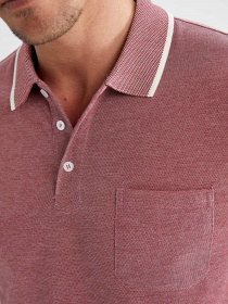 Поло DeFacto модель T7645AZ-BR363 Фото