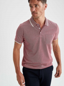 Поло DeFacto модель T7645AZ-BR363 Фото