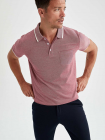 Поло DeFacto модель T7645AZ-BR363 Фото