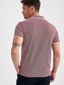 Поло DeFacto модель T7645AZ-BR363 Фото