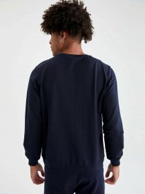 Свитшот DeFacto модель V9284AZ-NV100 Фото