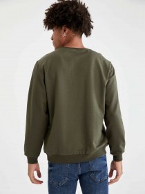 Свитшот DeFacto модель V9284AZ-KH244 Фото