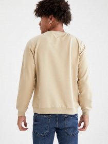 Свитшот DeFacto модель V9284AZ-BG662 Фото