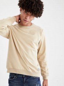 Свитшот DeFacto модель V9284AZ-BG662 Фото