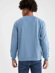 Світшот DeFacto модель V9284AZ-BE299 Фото