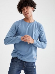 Світшот DeFacto модель V9284AZ-BE299 Фото