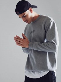 Світшот DeFacto модель V5306AZ-GR360 Фото