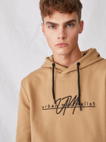 Худі DeFacto модель R4517AZ-BG118 Фото