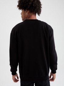 Свитшот DeFacto модель V5306AZ-BK27 Фото