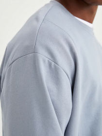 Свитшот DeFacto модель V3118AZ-GR225 Фото