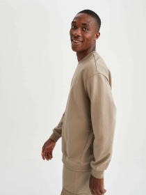 Свитшот DeFacto модель V3118AZ-BG131 Фото