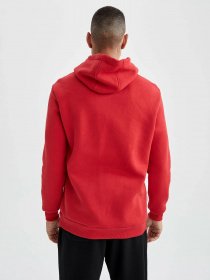 Худи DeFacto модель U9864AZ-RD296 Фото