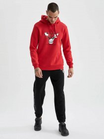 Худі DeFacto модель U9864AZ-RD296 Фото