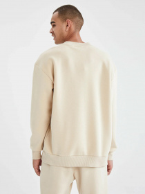 Свитшот DeFacto модель U9849AZ-BG596 Фото