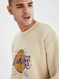 Свитшот DeFacto модель U9849AZ-BG596 Фото