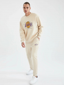 Свитшот DeFacto модель U9849AZ-BG596 Фото