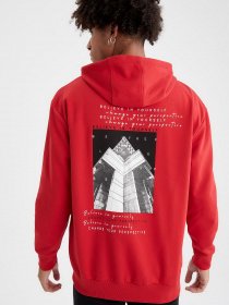 Худі DeFacto модель U9084AZ-RD296 Фото