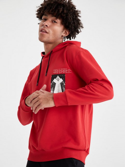 Худи DeFacto модель U9084AZ-RD296 Фото