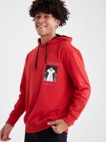 Худі DeFacto модель U9084AZ-RD296 Фото