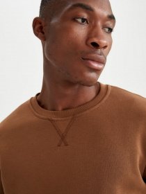 Свитшот DeFacto модель T3777AZ-BN325 Фото