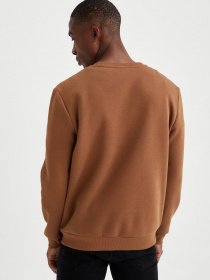 Свитшот DeFacto модель T3777AZ-BN325 Фото