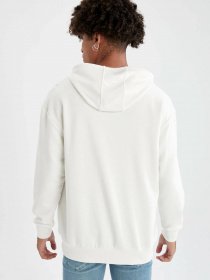 Худі DeFacto модель R4669AZ-ER105 Фото