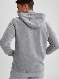 Кофта спортивная DeFacto модель U6824AZ-GR210 Фото