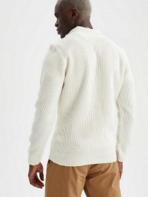 Кардиган DeFacto модель R1195AZ-ER65 Фото