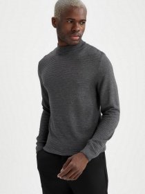 Водолазка DeFacto модель U6922AZ-GR228 Фото