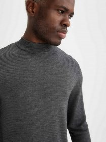 Водолазка DeFacto модель U6922AZ-GR228 Фото